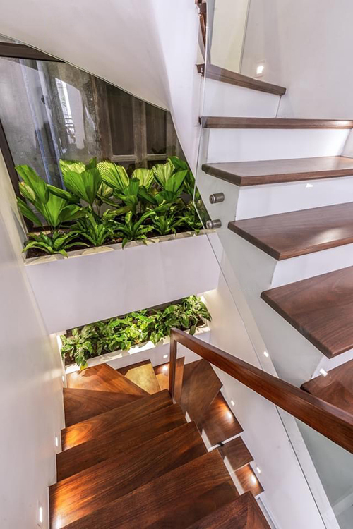 The staircase is placed to one side of the house; therefore, it helps to create a large and airy space for the ground floor. It can easily see the small indoor plants while walking down from the staircase. These green dots make a feeling of harmonized indoor life with nature.